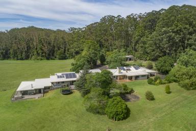 Farm Sold - NSW - Bonville - 2450 - Dual Living with Peace and Privacy in the Perfect Location  (Image 2)