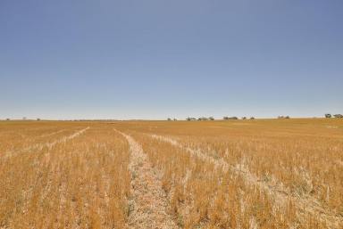 Farm Sold - VIC - Underbool - 3509 - Renowned cereal cropping land  (Image 2)