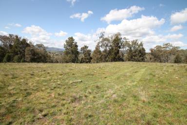 Farm Sold - NSW - Quirindi - 2343 - 9.9 ACRES, QUIET LOCATION  (Image 2)