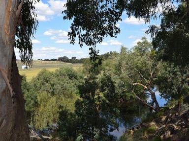 Farm Sold - NSW - Murrumbateman - 2582 - Bushmans Retreat on Canberra's Doorstep  (Image 2)