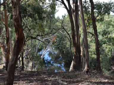 Farm Sold - NSW - Murrumbateman - 2582 - Bushmans Retreat on Canberra's Doorstep  (Image 2)