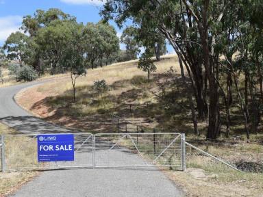 Farm Sold - NSW - Murrumbateman - 2582 - Lifestyle On Canberra’s Doorstep  (Image 2)