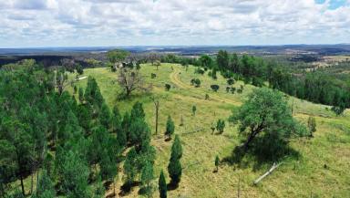 Farm Sold - QLD - Leyburn - 4365 - Panoramic Views  (Image 2)