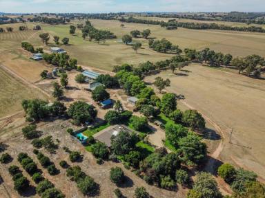 Farm Sold - NSW - Young - 2594 - "Rockcliffe" 460acs*  Only 10min* To Town  (Image 2)