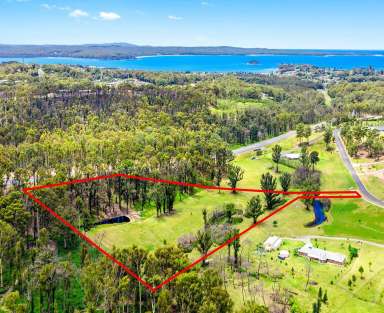 Farm Sold - NSW - Catalina - 2536 - Just imagine your dream home here!  (Image 2)