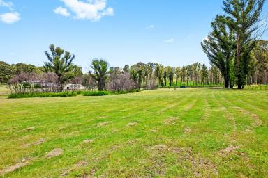 Farm Sold - NSW - Catalina - 2536 - Just imagine your dream home here!  (Image 2)