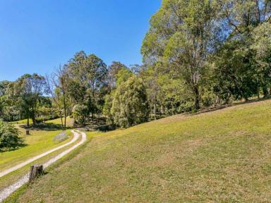 Farm Sold - QLD - Austinville - 4213 - DUAL Living at it's best!!  (Image 2)