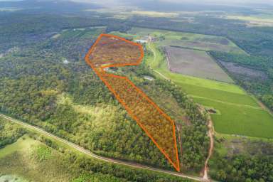 Farm Sold - NSW - Bora Ridge - 2471 - SOLD BY KATRINA ULYATT  (Image 2)