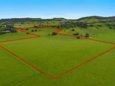 Farm Sold - NSW - Caniaba - 2480 - Rural Lifestyle, Close to Town  (Image 2)
