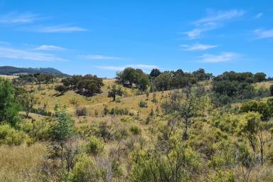 Farm Sold - NSW - Mudgee - 2850 - DON'T MISS LARGE ACRES- SYDNEY SIDE OF MUDGEE  (Image 2)