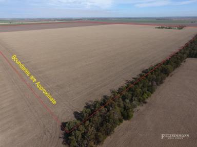 Farm Sold - QLD - Jandowae - 4410 - 639 ACRES OF TOP SHELF FARMING COUNTRY IN THE TIGHTLY HELD INVERAI / JANDOWAE DISTRICT  (Image 2)