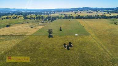 Farm Sold - NSW - Mudgee - 2850 - BUILD ON YOUR DREAM LIFESTYLE BLOCK  (Image 2)