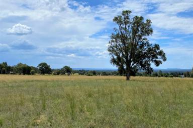 Farm Sold - NSW - Mudgee - 2850 - BUILD ON YOUR DREAM LIFESTYLE BLOCK  (Image 2)