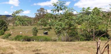 Farm Sold - QLD - Boolboonda - 4671 - Good country 7.42 hectares...(18+acres)  (Image 2)