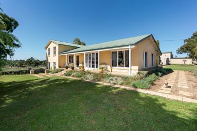Farm Sold - NSW - Wallendbeen - 2588 - HORSE ENTHUSIAST DREAM PROPERTY!  (Image 2)