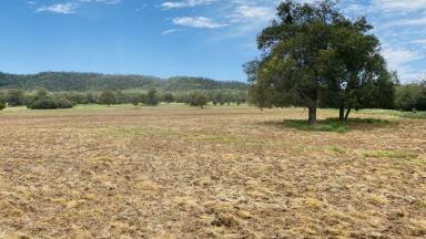 Farm Sold - NSW - Somerton - 2340 - Mixed Farming Property  (Image 2)