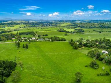 Farm Sold - NSW - Richmond Hill - 2480 - Income Producing Pecan Farm  (Image 2)