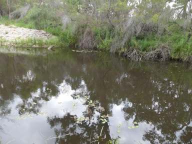 Farm Sold - QLD - Ballandean - 4382 - Prime farming land  (Image 2)