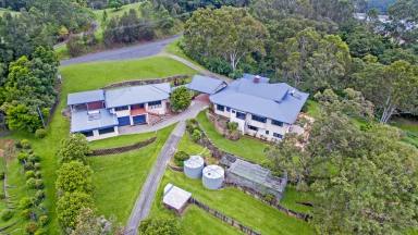 Farm Sold - QLD - Barrine - 4872 - Executive Lake Side Acreage Home !  (Image 2)