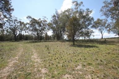 Farm Sold - NSW - Quirindi - 2343 - 4.9 ACRES, QUIET LOCATION & SPECTACULAR VIEWS  (Image 2)