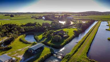 Farm For Sale - NSW - Palmers Island - 2463 - Who’s not heard of a YAMBA PRAWN?  (Image 2)