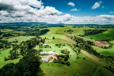 Farm Sold - NSW - Dorrigo - 2453 - Picturesque 5 acres with an unflawed outlook  (Image 2)