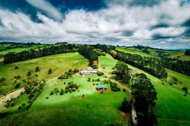 Farm Sold - NSW - Dorrigo - 2453 - Picturesque 5 acres with an unflawed outlook  (Image 2)