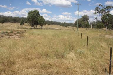 Farm Sold - QLD - Cunningham - 4370 - Beautiful Homesite, Priced to sell now!!  (Image 2)