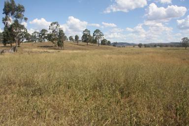 Farm Sold - QLD - Cunningham - 4370 - Beautiful Homesite, Priced to sell now!!  (Image 2)