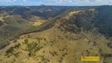 Farm Sold - NSW - Mudgee - 2850 - ACRES WITH INCREDIBLE VIEW  (Image 2)
