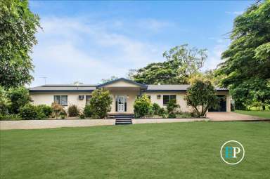 Farm Sold - QLD - Brookhill - 4816 - SOLD By Giovanni Spinella  (Image 2)