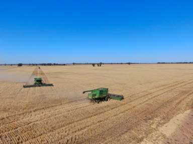 Farm Sold - NSW - Narromine - 2821 - Some of the best producing Farms in the Central West with 7386.17ML of Entitlements  (Image 2)