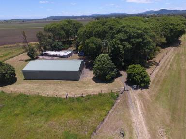 Farm Sold - NSW - Casino - 2470 - Potential Plus !!  (Image 2)