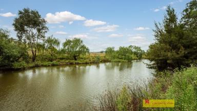Farm Sold - NSW - Mudgee - 2850 - 'Cloudy Bay' - The Ultimate Riverfront Lifestyle Farm  (Image 2)