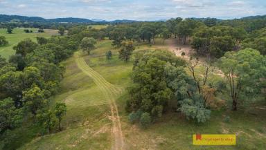 Farm Sold - NSW - Mudgee - 2850 - 'Cloudy Bay' - The Ultimate Riverfront Lifestyle Farm  (Image 2)