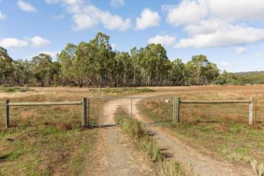 Farm Sold - VIC - Longlea - 3551 - Country Lifestyle with space to dream  (Image 2)