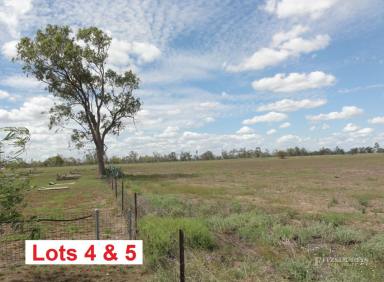 Farm For Sale - QLD - Dalby - 4405 - ACREAGE OPPORTUNITY WITHIN MINUTES OF THE MAIN STREET  (Image 2)