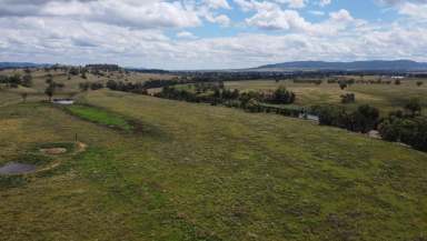 Farm Sold - NSW - BINGARA - 2404 - A Blank Canvas Opportunity  (Image 2)