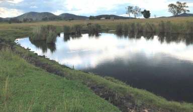 Farm Sold - QLD - Lower Wonga - 4570 - LOWER WONGA DISTRICT  (Image 2)