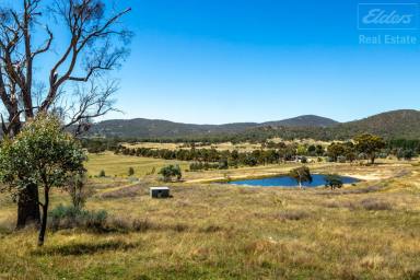 Farm Sold - NSW - Urila - 2620 - Beautiful Rural Block  (Image 2)