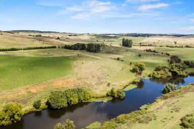 Farm Sold - NSW - Goulburn - 2580 - ''Rossiville Park'' - Lifestyle River Frontage  (Image 2)