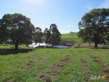 Farm Sold - VIC - Darnum - 3822 - 10 ACRES ON TOWN FRINGE - RARE AS HENS TEETH  (Image 2)
