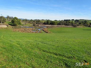 Farm Sold - VIC - Darnum - 3822 - 10 ACRES ON TOWN FRINGE - RARE AS HENS TEETH  (Image 2)