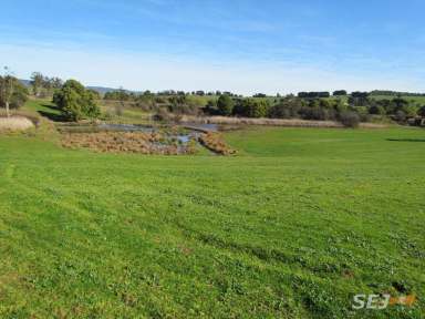 Farm Sold - VIC - Darnum - 3822 - 10 ACRES ON TOWN FRINGE - RARE AS HENS TEETH  (Image 2)