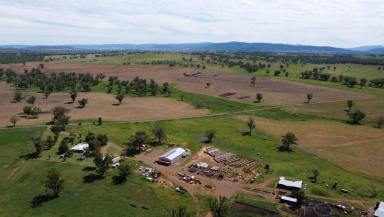 Farm Sold - NSW - Bingara - 2404 - "Some of the most productive land in the Gwydir Shire"  (Image 2)