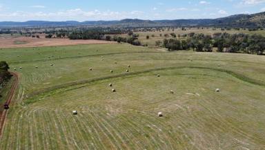 Farm Sold - NSW - Bingara - 2404 - Abundant Production Prospects  (Image 2)