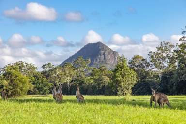 Farm Sold - QLD - Cooran - 4569 - Elegant Home, Stunning Outlook, Idyllic Lifestyle  (Image 2)