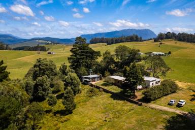 Farm Sold - TAS - Beulah - 7306 - Plantation block with alternate use opportunities  (Image 2)