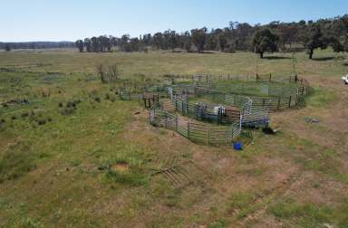 Farm For Sale - NSW - Uarbry - 2329 - 'Pinevale'  (Image 2)