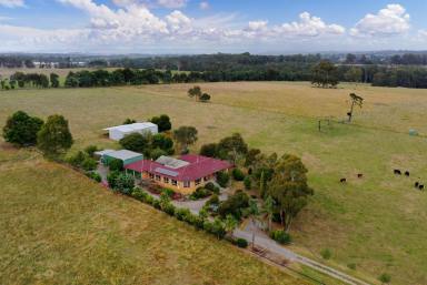 Farm Sold - VIC - Longwarry - 3816 - TIMBARA  - LOCATION AND OUTLOOK ON 66.5 ACRES  (Image 2)